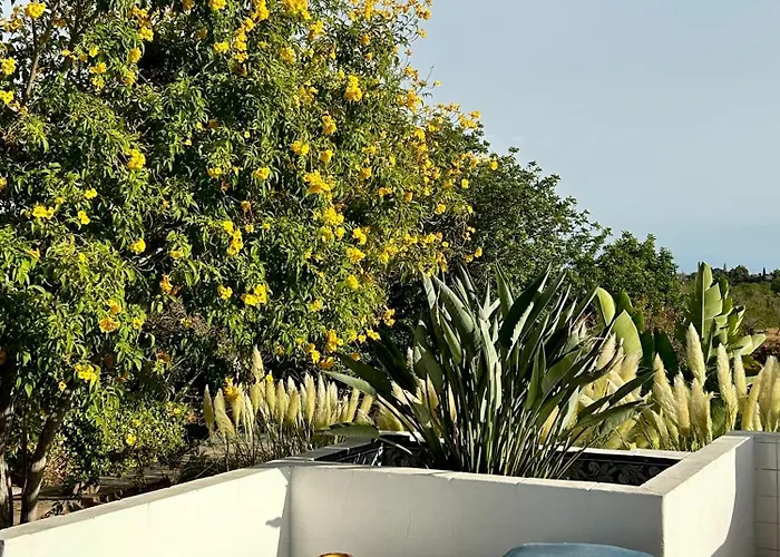 Einzigartige Landhaus-villa Mit Pool, Sauna, Bar Und Bbq Βίλα Boliqueime