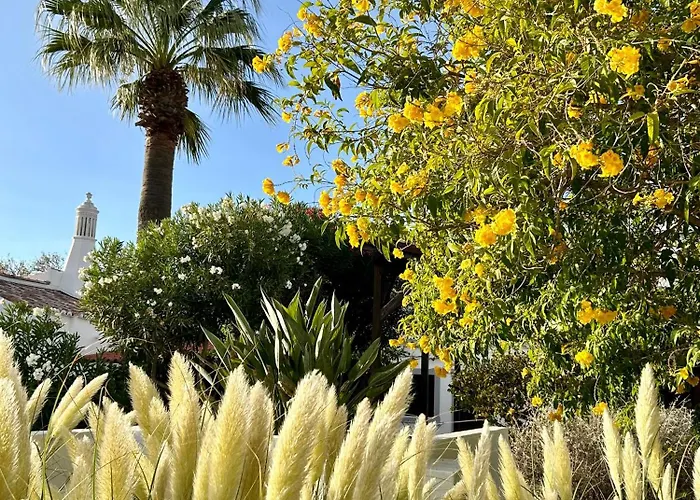 Einzigartige Landhaus-villa Mit Pool, Sauna, Bar Und Bbq * בולקיאמה